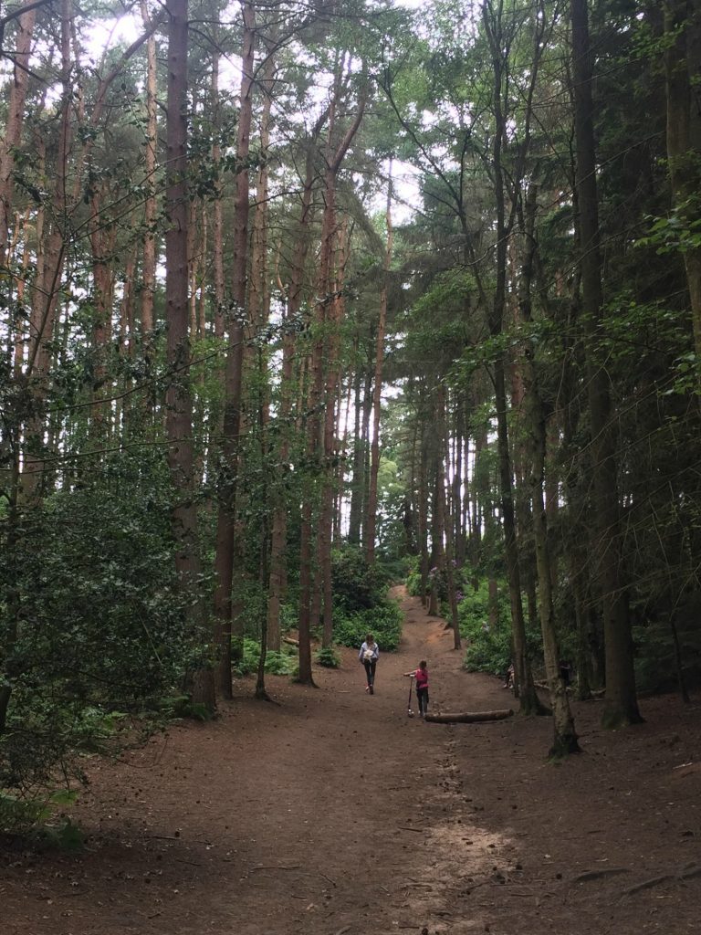 Rushmere Country Park