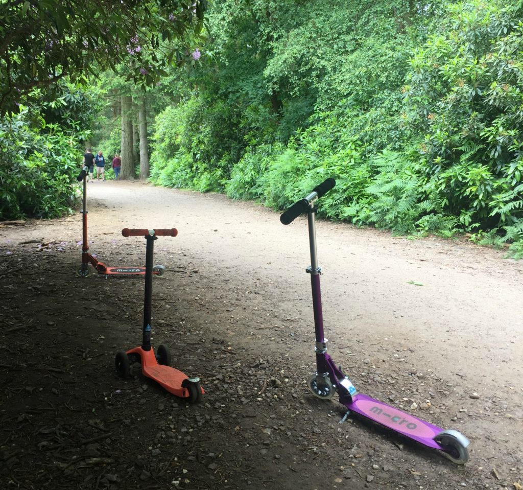 Rushmere Country Park