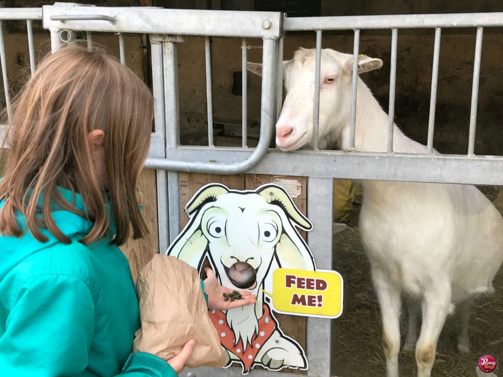 Lee Valley Park Farms