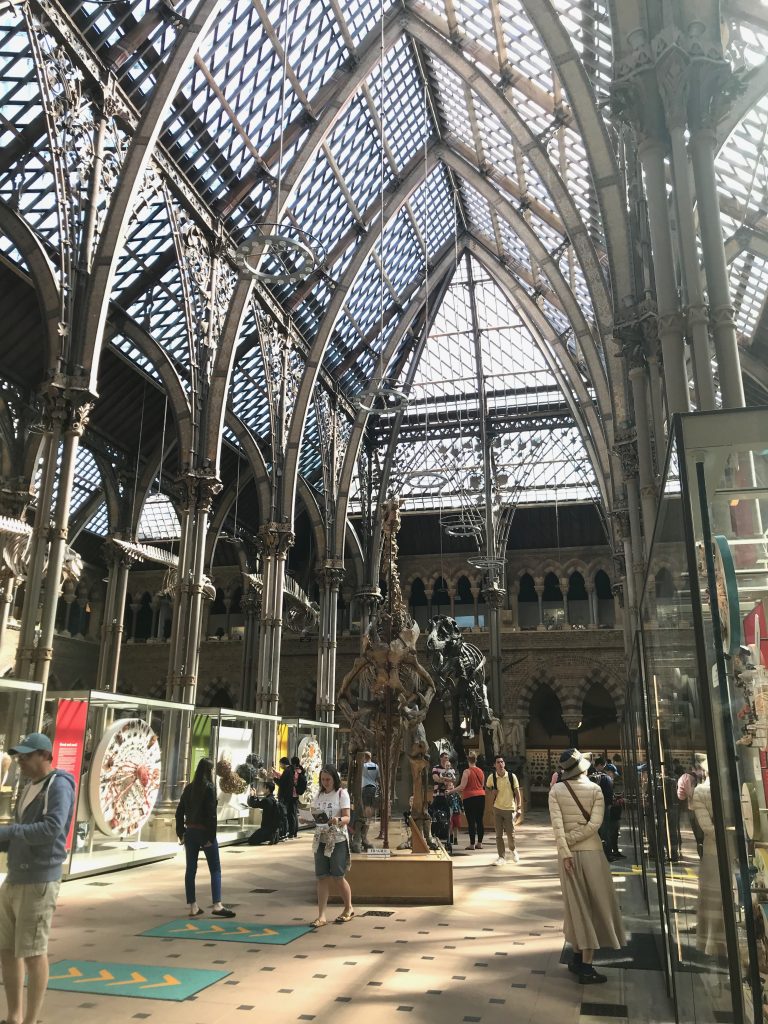 The main hall of the Oxford University Museum of Natural History. It shows a tall space, more like e railway station than a museum, with light flooding in through a glass ceiling. Various Natural History exhibits can be seen in the foreground.