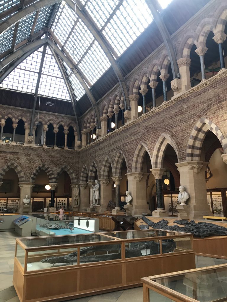 A view across some of the display cases, showing off the architecture of teh building, in particular the columns.